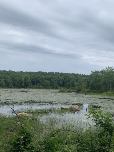 Wildcat Trailhead - Rockaway Township, NJ