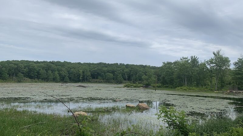 Wildcat Trailhead - Rockaway Township, NJ