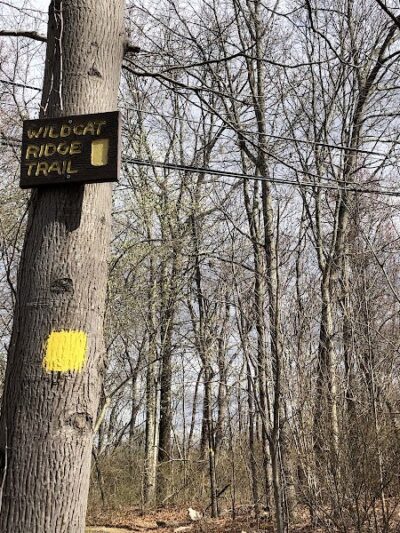 Wildcat Trailhead - Rockaway Township, NJ