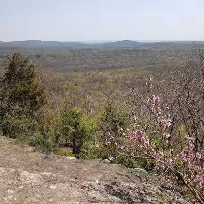 Wildcat Trailhead - Rockaway Township, NJ