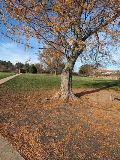 Canine Corners Dog Park - Elliot Park - Rockford, IL