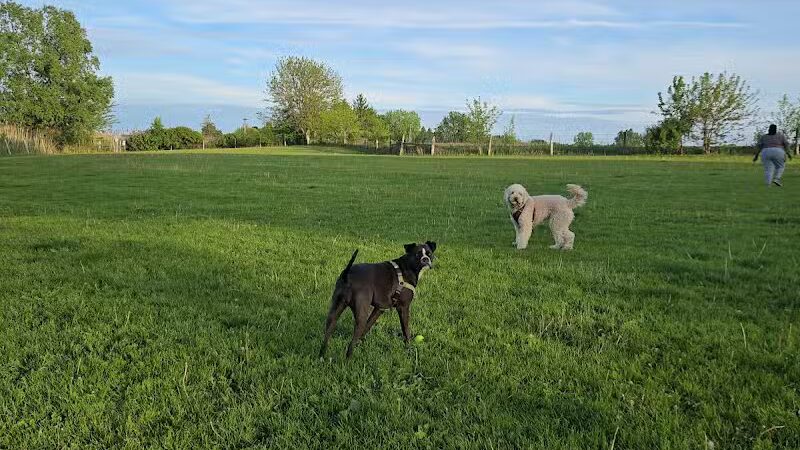 Canine Corners Dog Park - Elliot Park - Rockford, IL