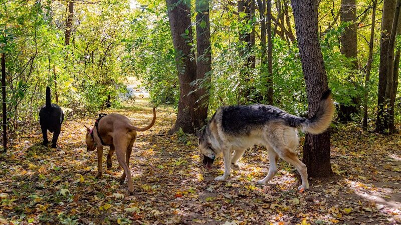 Canine Corners Dog Park - Searls Park - Rockford, IL