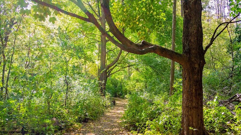 Canine Corners Dog Park - Searls Park - Rockford, IL