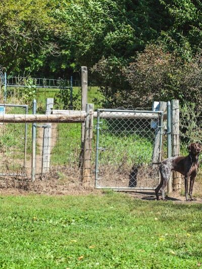 Canine Corners Dog Park - Searls Park - Rockford, IL