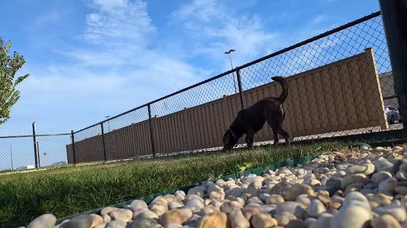 Dog Park at Love's Travel Stops - Rockford, IL
