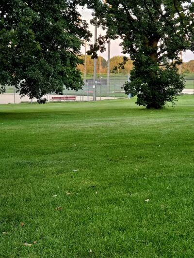 Searls Park - Rockford, IL