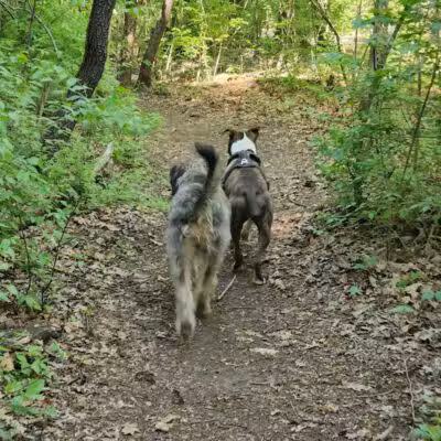 Searls Park - Rockford, IL