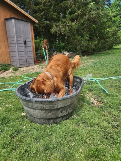 Searls Park - Rockford, IL