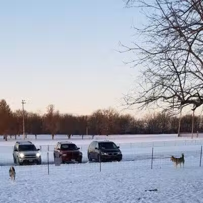 Searls Park - Rockford, IL