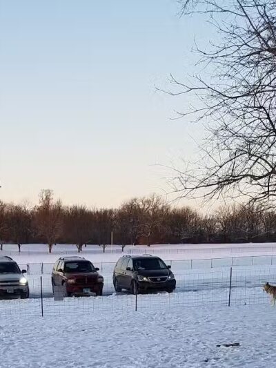 Searls Park - Rockford, IL