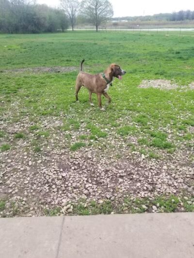 Searls Park - Rockford, IL