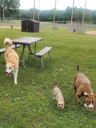 Searls Park - Rockford, IL