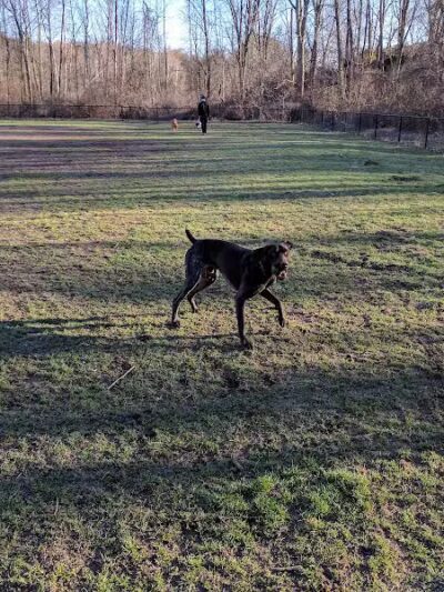 Rockford Dog Park - Rockford, MI