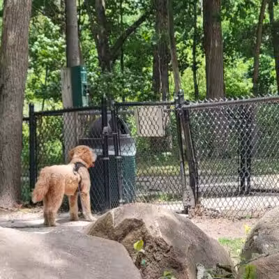 Rockford Dog Park - Rockford, MI