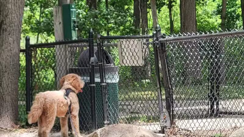 Rockford Dog Park - Rockford, MI