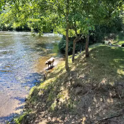 Rockford Dog Park - Rockford, MI