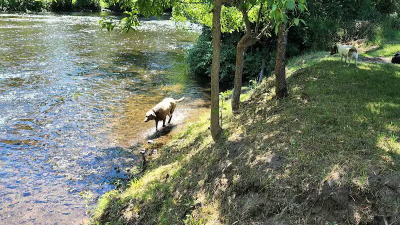 Rockford Dog Park - Rockford, MI