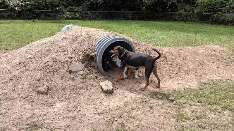 Rockford Dog Park - Rockford, MI