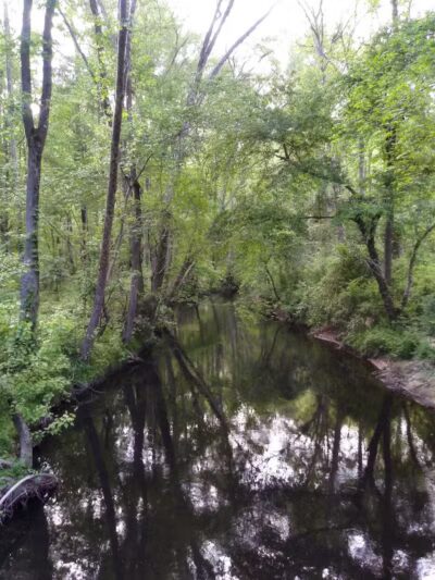 Hitchcock Creek Trail - Rockingham, NC