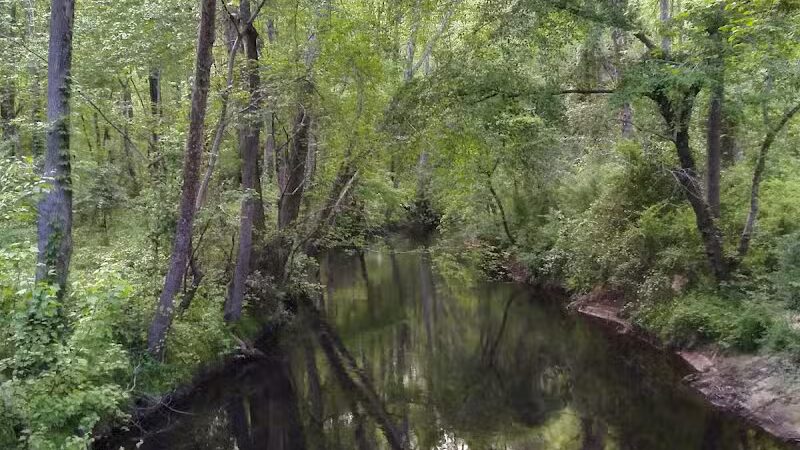Hitchcock Creek Trail - Rockingham, NC