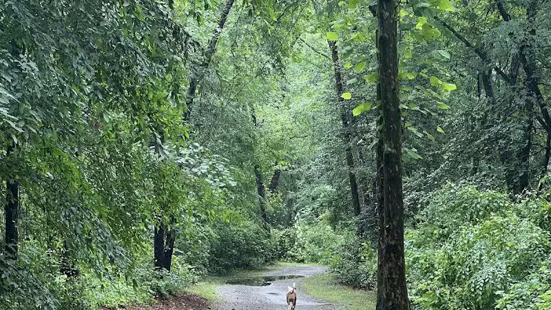 Hitchcock Creek Trail - Rockingham, NC