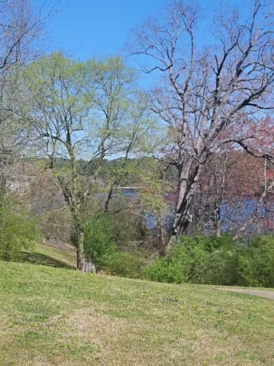Ledbetter Park - Rockingham, NC