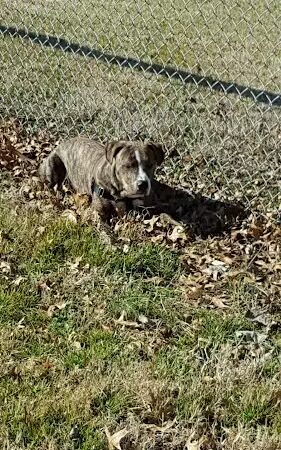 Rockport City Park - Rockport, IN