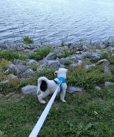 Rocky Side Park - Rockport, IN