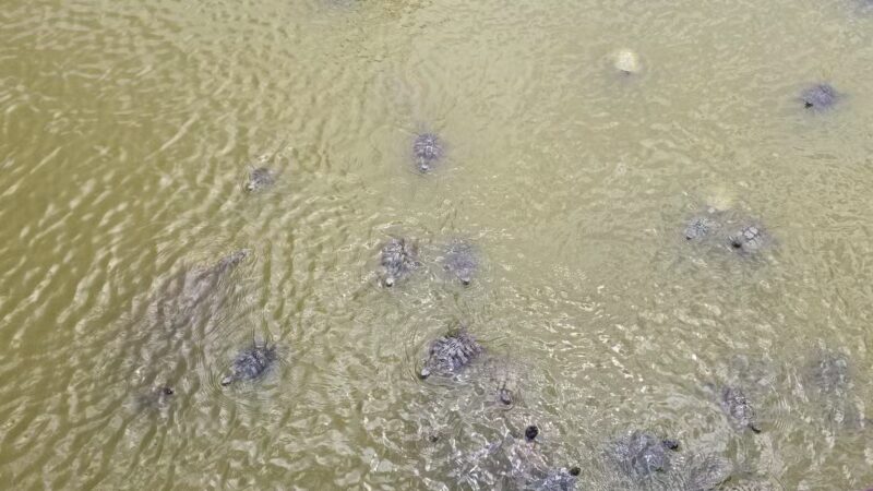 Rockport Dog Park - Rockport, TX