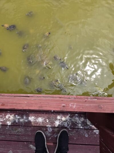 Rockport Dog Park - Rockport, TX