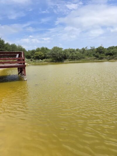 Rockport Dog Park - Rockport, TX