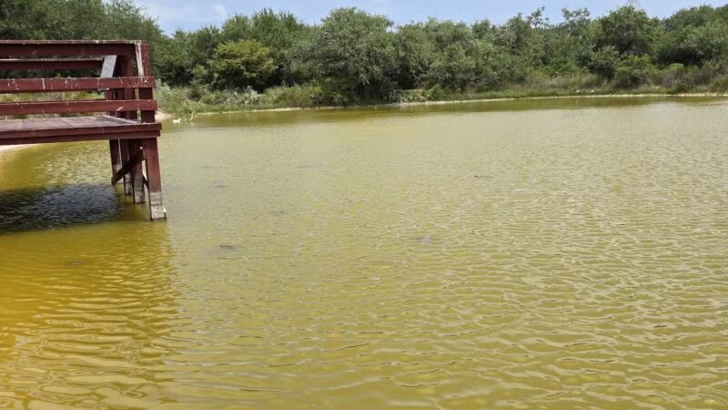 Rockport Dog Park - Rockport, TX