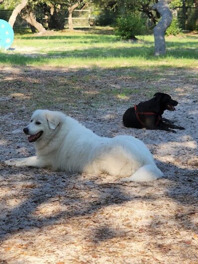 Rockport Dog Park - Rockport, TX