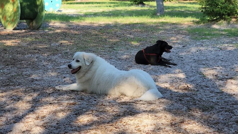 Rockport Dog Park - Rockport, TX