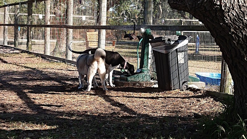 Rockport Dog Park - Rockport, TX