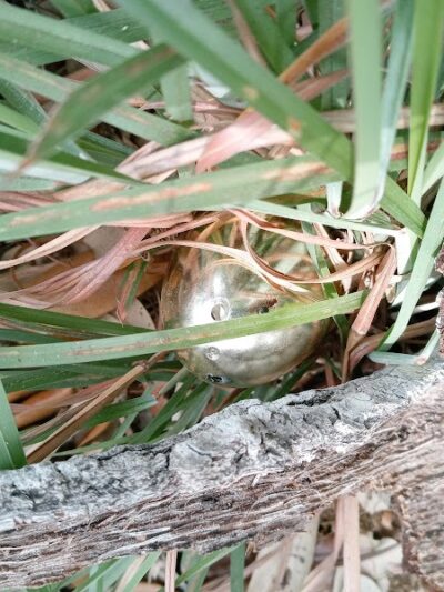 Rockport Dog Park - Rockport, TX