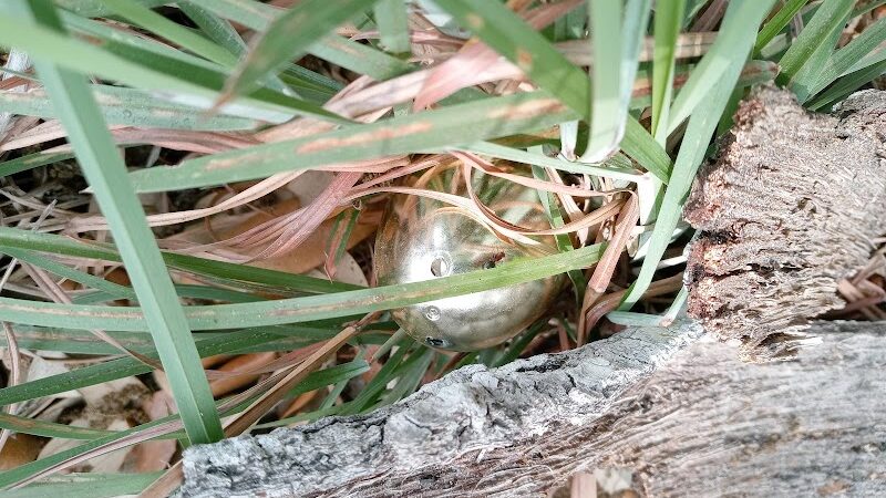 Rockport Dog Park - Rockport, TX