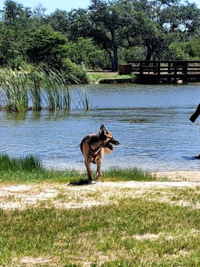 Rockport Dog Park - Rockport, TX