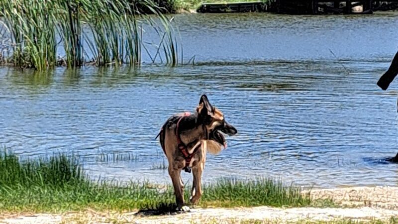 Rockport Dog Park - Rockport, TX
