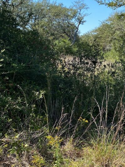 Rockport Dog Park - Rockport, TX