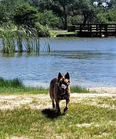 Rockport Dog Park - Rockport, TX