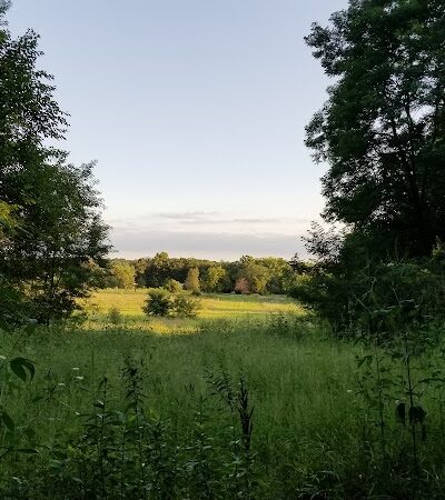 Barkwood Dog Park - Rockton, IL