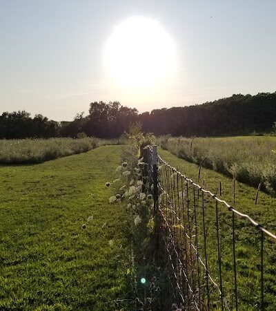 Barkwood Dog Park - Rockton, IL