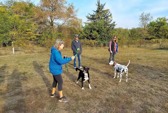 Barkwood Dog Park - Rockton, IL