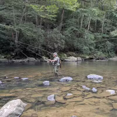 Laurel Ridge State Park - Rockwood, PA