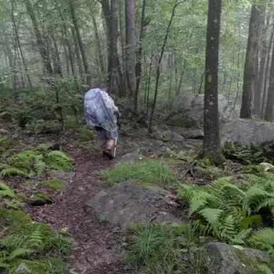 Laurel Ridge State Park - Rockwood, PA