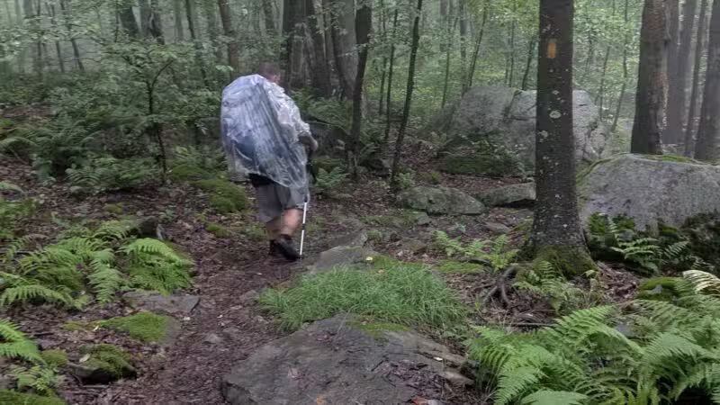 Laurel Ridge State Park - Rockwood, PA