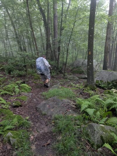 Laurel Ridge State Park - Rockwood, PA
