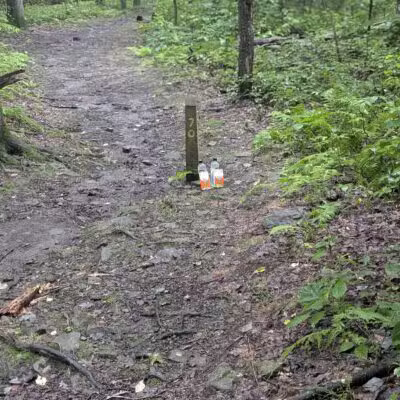 Laurel Ridge State Park - Rockwood, PA